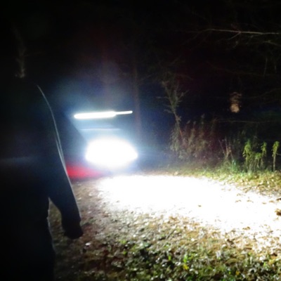 arms and legs - Single