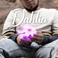 Dahlia - Single - Lil Lion & Alecc