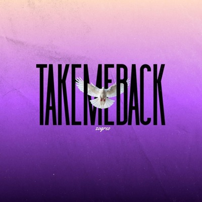 Take me Back - Single
