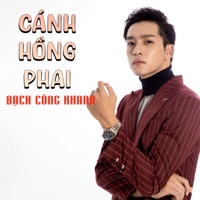 Cánh Hồng Phai - Single - Bach Cong Khanh