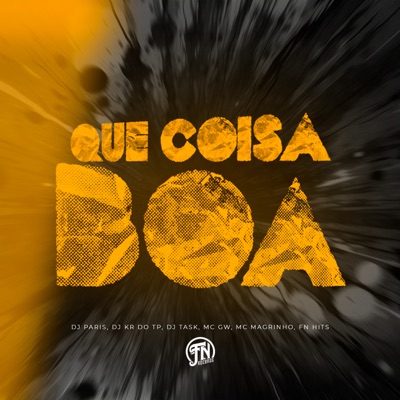 Que Coisa Boa (feat. MC GW & DJ TASK) - Single