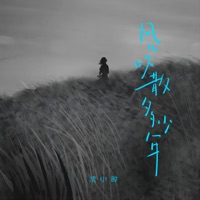 风儿吹散多少年 - Single - 沈小曄