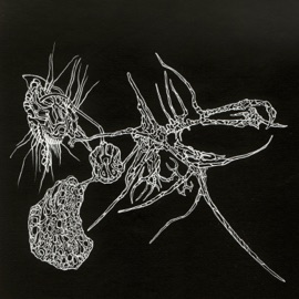 Cancer Yungcold & kodouramos