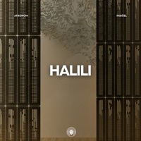 Halili (Extended Mix) - Single - AFRONOM & Migüel