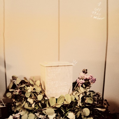 Lágrimas y amor - Single