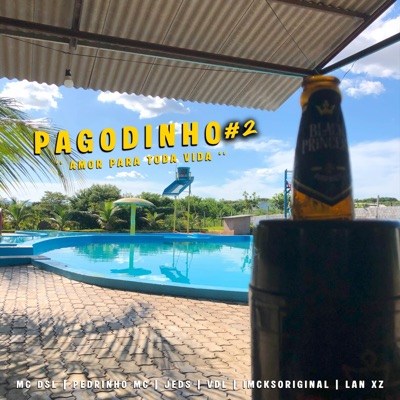 Pagodinho#2 - '' Amor para toda a vida.'' (feat. Mc Dsl oficial, Lan Xz, Pedrinho MC, imcksoriginall & VDL fei) - Single