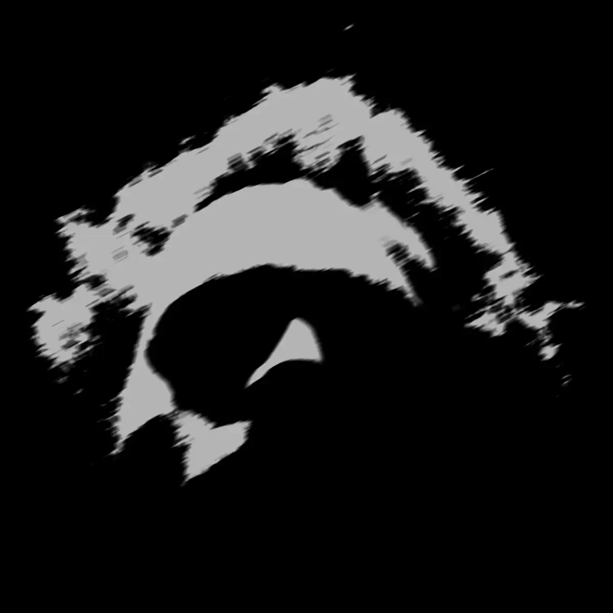 Benjamin Booker - LOWER (2025) [iTunes Plus AAC M4A]-新房子