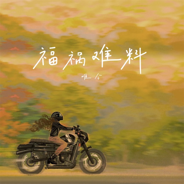 福祸难料 - Single