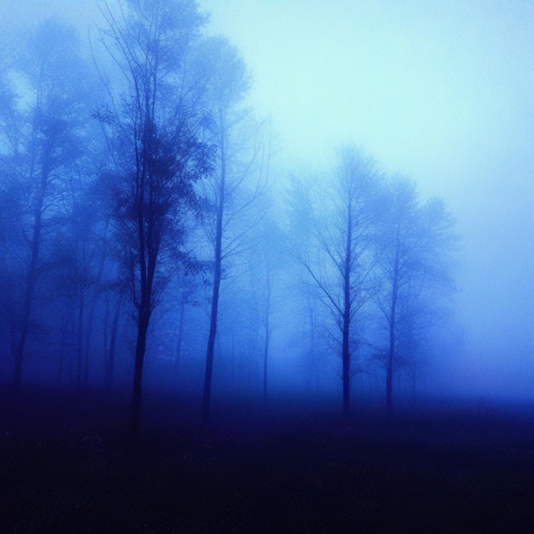sleepless - Single
