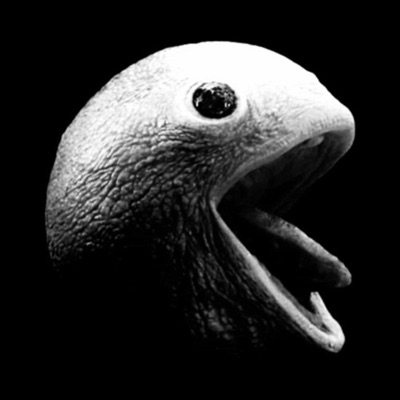 PÄC-MÄN (feat. BimBoyKxrly) - Single