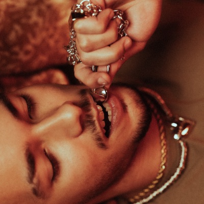 Só pra Ficar High - Single