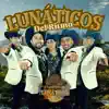 Lunáticos del Ritmo - El Pobre Sapo