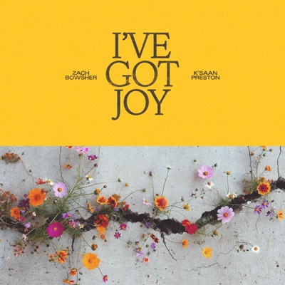 I'VE GOT JOY - Single