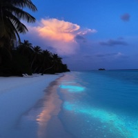 From the Islands (kompa pasión) [Hardstyle] - Single - Always Mirin & LEOJ