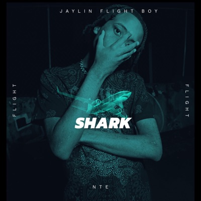 Shark (Radio Edit) - Single