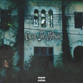 Mezu' (feat. Verigalipsa & DASH) Fratelemare & Coltu' Salbatic