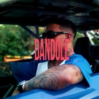 DANDOLE - Single - J Simpson