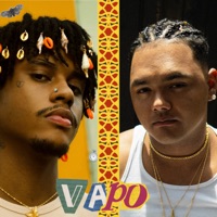 Vapo - Single - Gu Original & Pejota