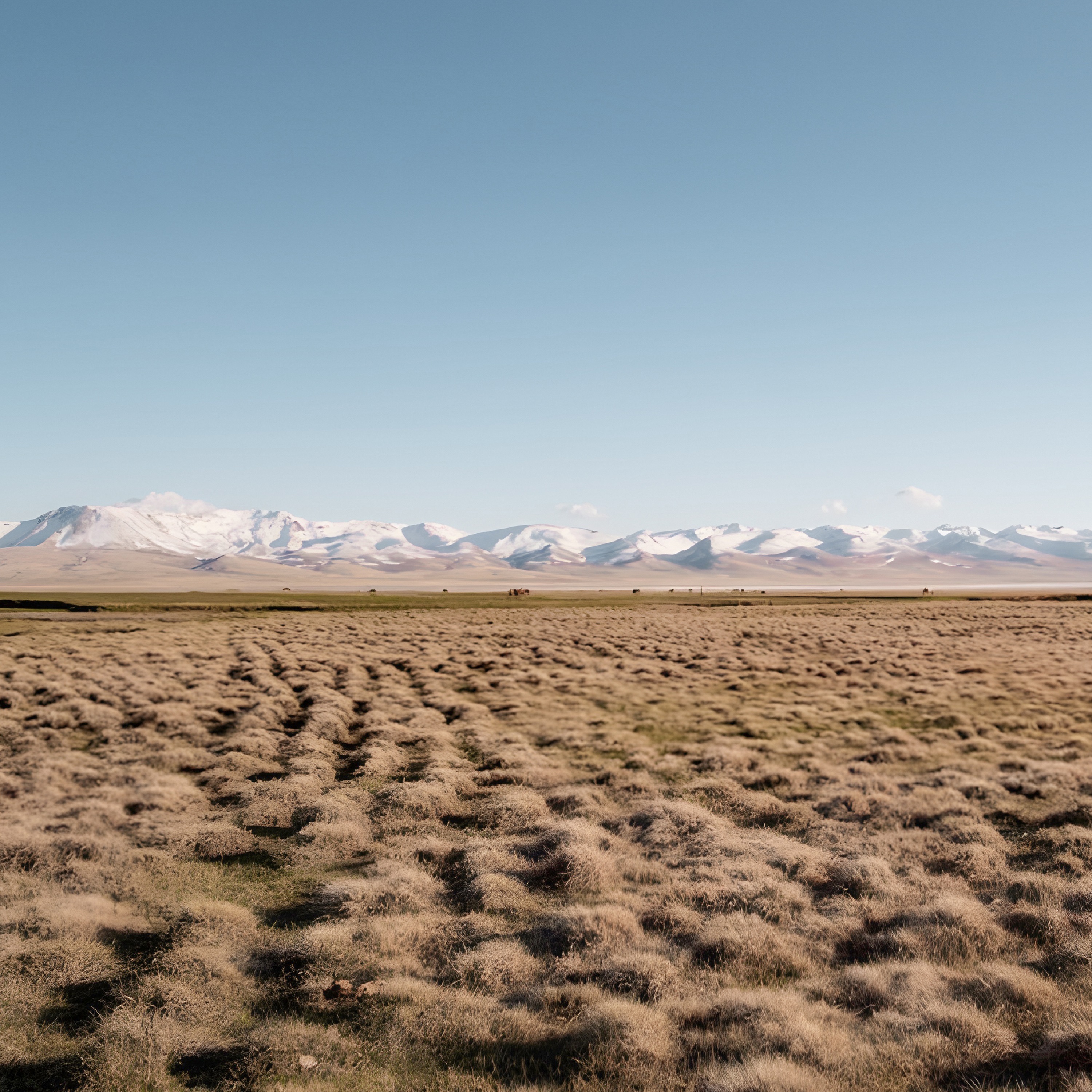 Onde Seria Onde - EP