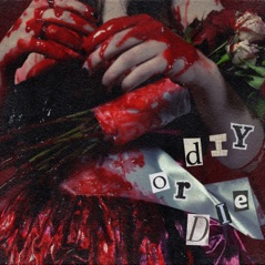 DIY Or Die - Single
