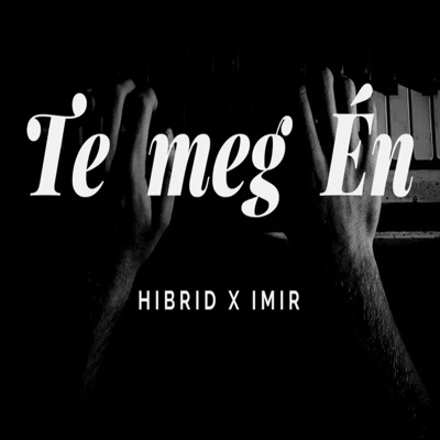 Te meg Én (feat. Imir) - Single