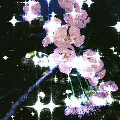 Soñé (feat. Rommel Naranjo) - Single