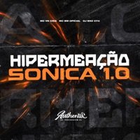 Hipermeação Sônica 1.0 (feat. MC BM OFICIAL) - Single - DJ BNZ 074 & MC VN Cria