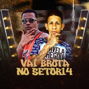 Vai Brota no Setor14 (feat. JwsNoBeat081 & Brisa no Beat)