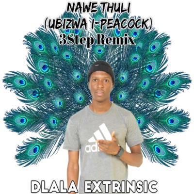 Nawe Thuli (3 Step) - Single