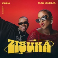 Zisuka (feat. Flow Jones Jr.) - Single - Vuyina