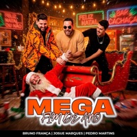 MEGA FIM DE ANO - Single - DJ PEDRO MARTINS, DJ BRUNO FRANÇA & DJ JOSUE MARQUES
