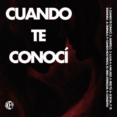 Cuando Te Conocí