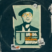 U Can't Lurn Imaginashun - DJ Vadim