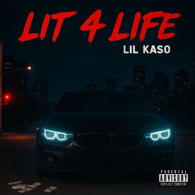 Lit 4 Life - Single