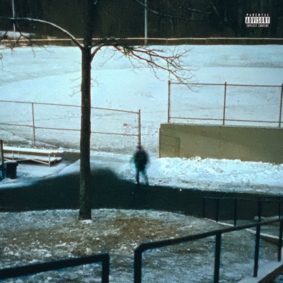 have you lost your mind? (feat. Brevin Kim) - Single