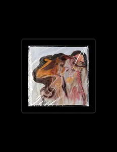 Kaavyaを聴いたり、ミュージックビデオを鑑賞したり、経歴やツアー日程などを確認したりしましょう！