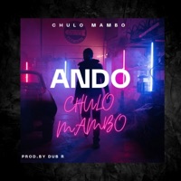 Ando (feat. Bony) - Single - El Chulo Mambo 0304