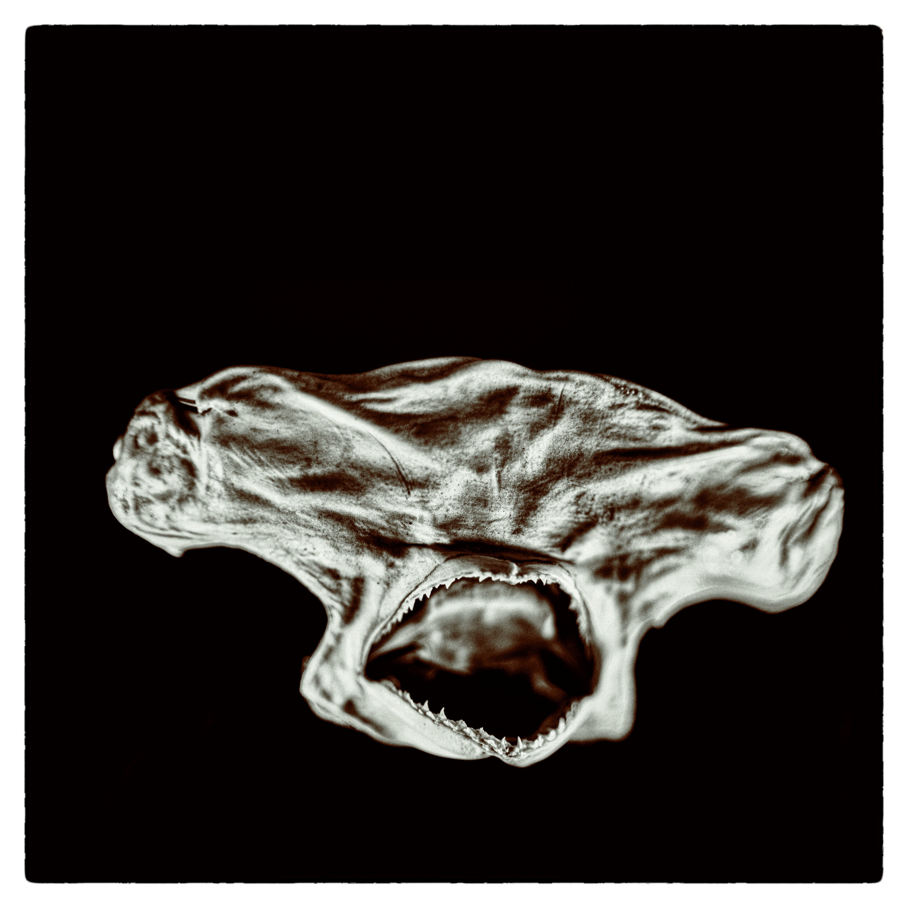 Galvanized - Single