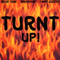 Turnt Up - Single - Bulby York, Ninjaman & Candy Gloster