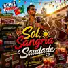 dj arrasador - SOL SANGRIA E SAUDADE