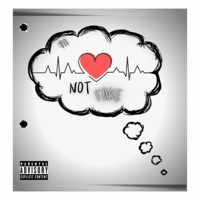 Not Fake - Single