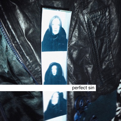 Perfect Sin - Single