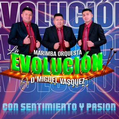 MARIMBA ORQUESTA LA EVOLUCION - QUE HAY EN TU MIRADA