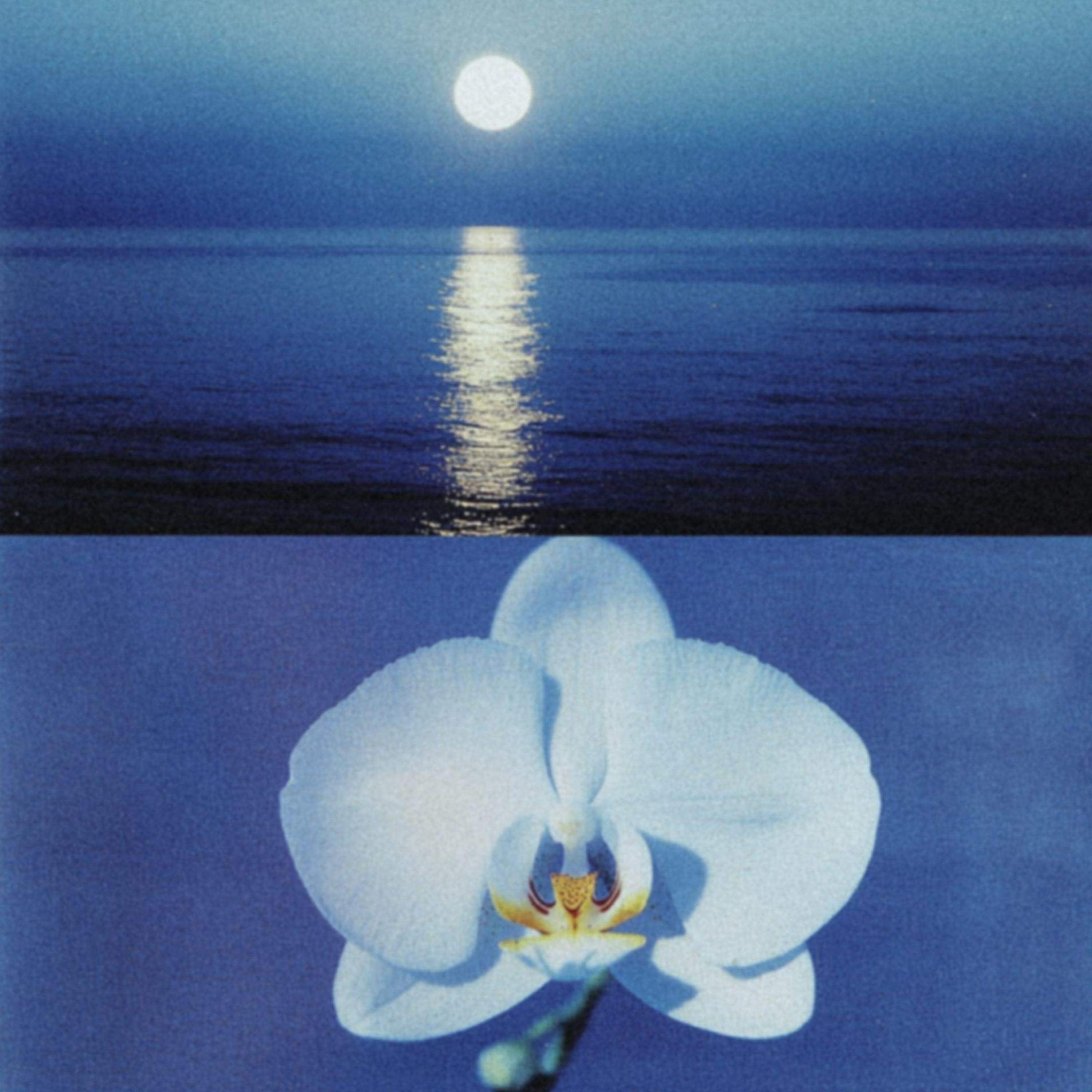 Pale Blue - Talking To Walls