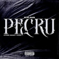 PECRU (feat. Jotabe Negge) - Single - 2hsm