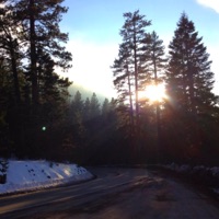 unhealthee - Single - Noia