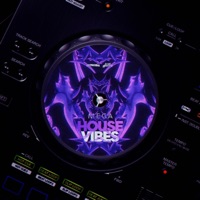 Mega House Vibes - Single - DJ Petroski & DJ LUCAS HENRIQUE