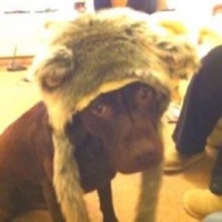 Tabloid - Single - Zukovstheworld