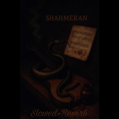 Durmam (Slowed+Reverb) - Single