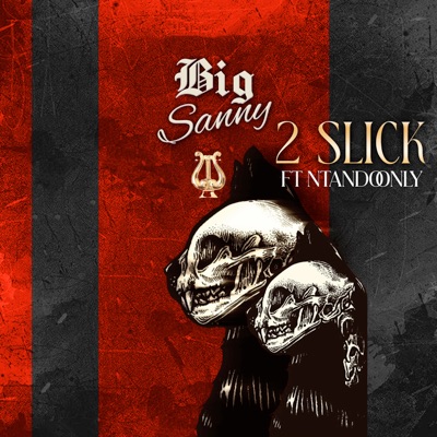 2Slick (feat. Ntandoonly) - Single
